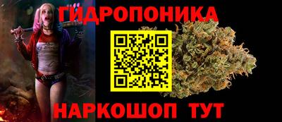 apvp Новокубанск